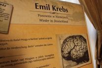 EMIL KREBS - u granic geniuszu: WERNISAŻ WYSTAWY