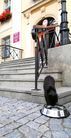 miska z wodą a kostce brukowej, obok schodów, czarny kot pijący wodę