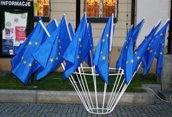 Flagi UE przed Ratuszem