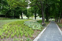 Park przy ul. Jeleniogórskiej