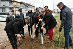 „Seniorzy Pokoleniom” - akcja sadzenia drzewek