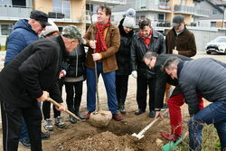 „Seniorzy Pokoleniom” - akcja sadzenia drzewek