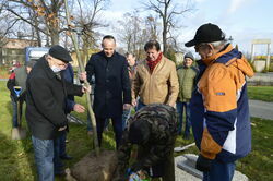 „Seniorzy Pokoleniom” - akcja sadzenia drzewek