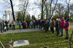 „Seniorzy Pokoleniom” - akcja sadzenia drzewek