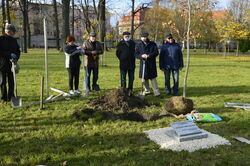 „Seniorzy Pokoleniom” - akcja sadzenia drzewek