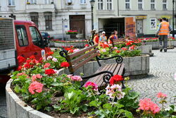 Plac Jana Pawła II w pięknych kwiatach 