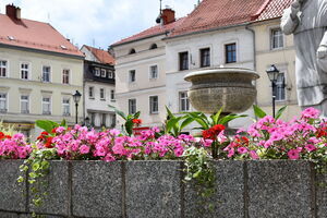 Kwiaty zdobią miasto