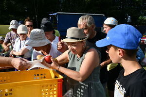 Radosna wędrówka Pielgrzymów do Częstochowy