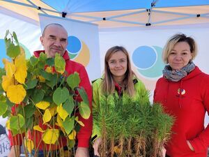 Zebrano ponad 200 kg zużytych baterii a to nie koniec…