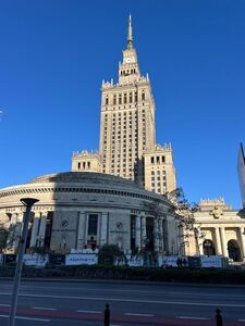 sp1 - sejm
