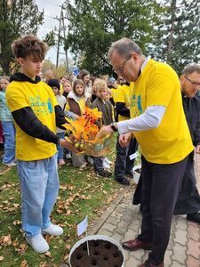 Z miłości do pomagania posadzono żonkile