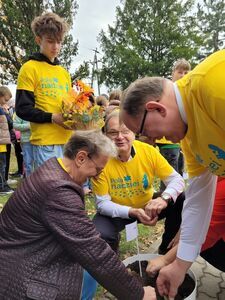 Z miłości do pomagania posadzono żonkile