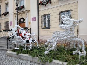 Trwa świąteczne zdobienie miasta