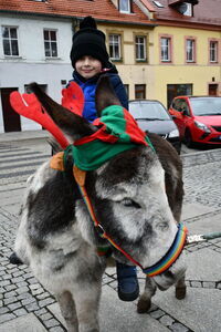 Jarmark Bożonarodzeniowy 2024