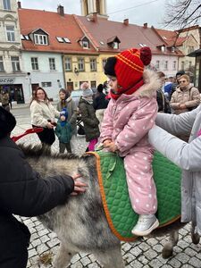 Jarmark Bożonarodzeniowy 2024