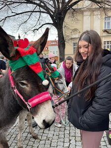 Jarmark Bożonarodzeniowy 2024