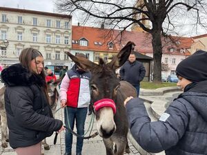 Jarmark Bożonarodzeniowy 2024