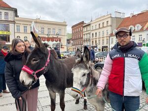 Jarmark Bożonarodzeniowy 2024