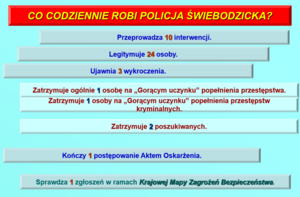 Roczna odprawa Policji za 2024 r