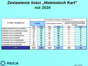 Roczna odprawa Policji za 2024 r