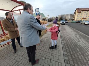 Promocja darmowej komunikacji miejskiej - tłusty czwartek