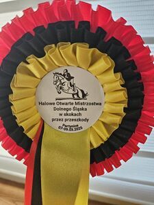 Amelia Radwan triumfuje na Dolnym Śląsku!