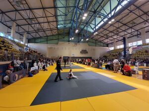IV edycja Super Ligi Judo w Świebodzicach