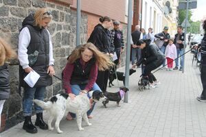 Piknik dla Bezdomniaków 2025