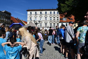 Świebodzicki Bieg Muflona i Muflonka
