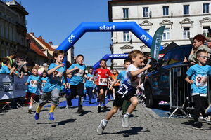 Świebodzicki Bieg Muflona i Muflonka
