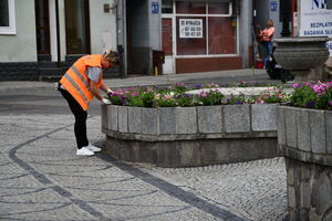 Nowa aranżacja zieleni na Placu Jana Pawła II