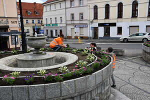 Nowa aranżacja zieleni na Placu Jana Pawła II