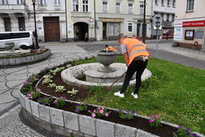 Nowa aranżacja zieleni na Placu Jana Pawła II