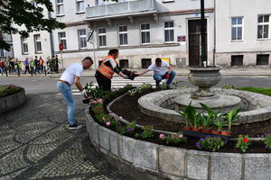 Nowa aranżacja zieleni na Placu Jana Pawła II