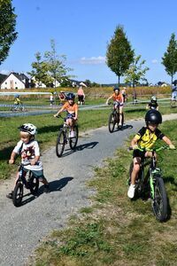 Wielki Świebodzicki Piknik Sportowy