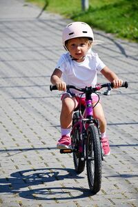 Wielki Świebodzicki Piknik Sportowy