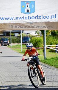 Wielki Świebodzicki Piknik Sportowy