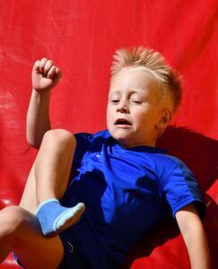 Wielki Świebodzicki Piknik Sportowy