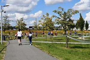 Wielki Świebodzicki Piknik Sportowy
