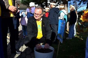 Z odruchu serca rozrosną się żonkilowe pola nadziei