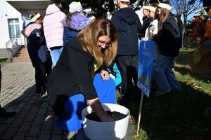 Z odruchu serca rozrosną się żonkilowe pola nadziei