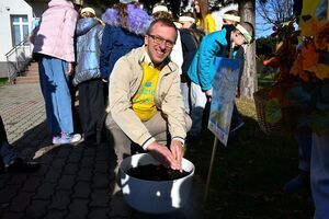 Z odruchu serca rozrosną się żonkilowe pola nadziei