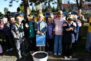 Z odruchu serca rozrosną się żonkilowe pola nadziei