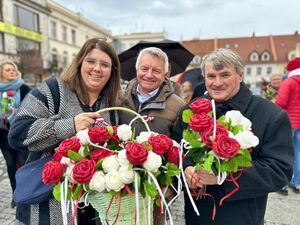 11 listopada w Świebodzicach