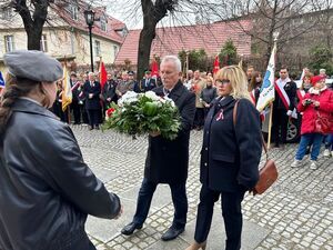 11 listopada w Świebodzicach