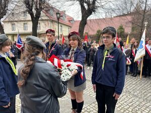 11 listopada w Świebodzicach