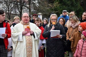 11 listopada w Świebodzicach