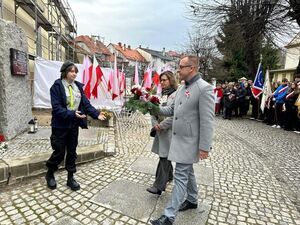 11 listopada w Świebodzicach