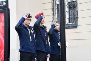 11 listopada w Świebodzicach