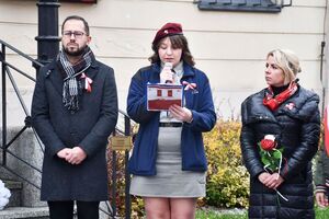 11 listopada w Świebodzicach